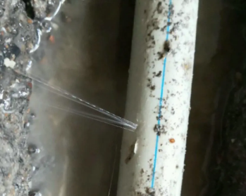 剑阁卫生间测漏水多少钱